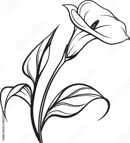 Carta da parati Sleek elegant calla lily flower silhouette for floral designs and artistic creat