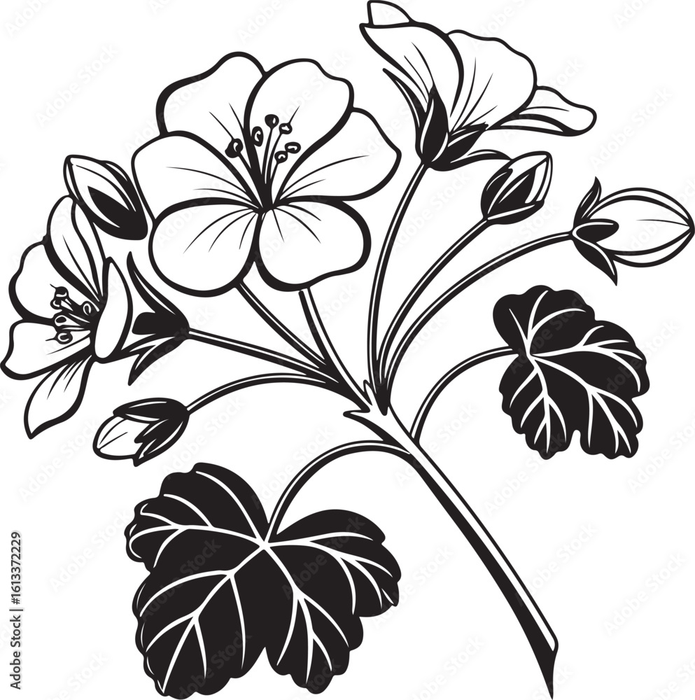 Simple geranium flower petal silhouette vector graphic isolated on transparent background Simple geranium flower petal silhouette vector graphic isolated on transparent background