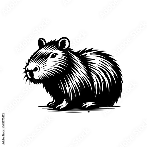 A capybara isolated on white background
