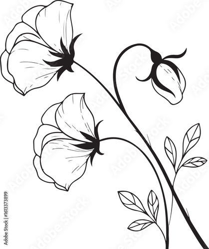 Let me know if you want 20 or 100 variations like this