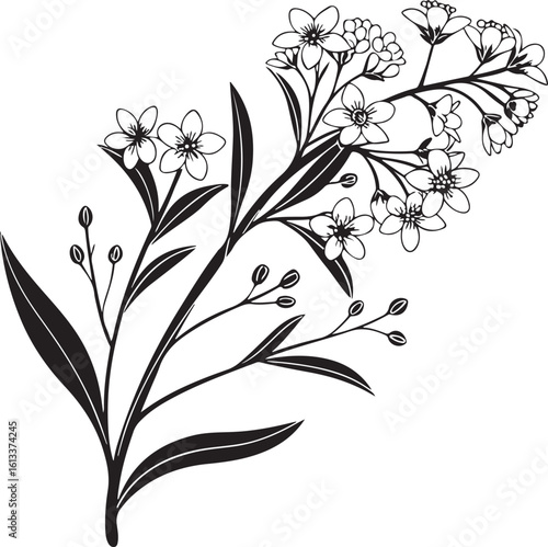 Charming tiny wax flower bloom silhouette with delicate petals and stem isolated on transparent background