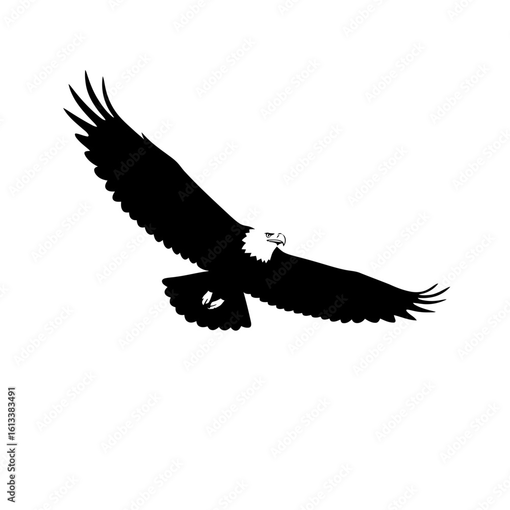 Obraz premium Eagle Soaring Over Mountain Landscape, Nature Photography, Majestic Wildlife, Aerial View, Clear Sky