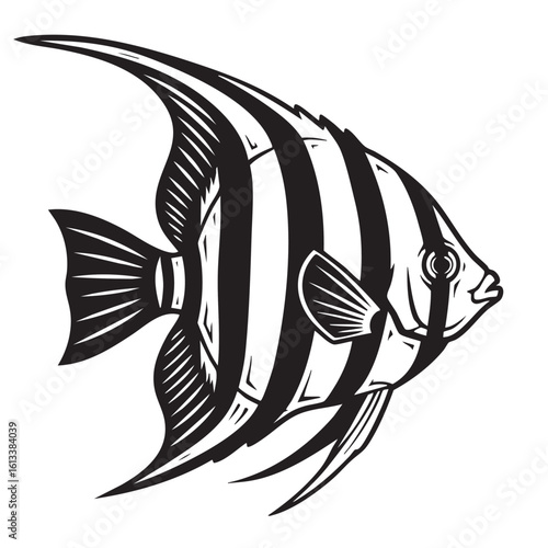 Black and white striped angelfish swimming vector