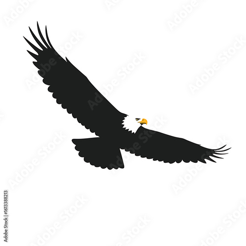 soaring eagle in flight: A majestic eagle soars gracefully through the sky, its powerful wings spread wide, a symbol of freedom and strength.