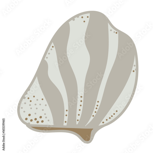 Striped vector sea shell illustration. 