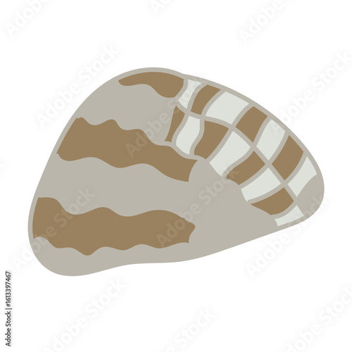 A clean flat illustration features a solitary seashell. 