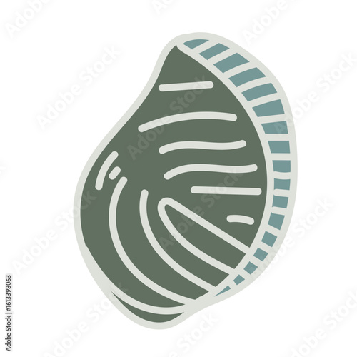 Vector drawing of a colorful seashell. Hand-drawn illustration.