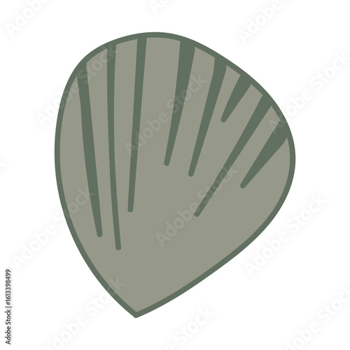 Vector drawing of a seashell. Nautical element. Hand-drawn illustration.