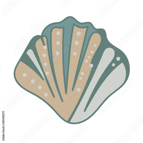 Vector drawing of a colorful seashell. 
