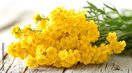 Close up of a bouquet of bright yellow flowers.