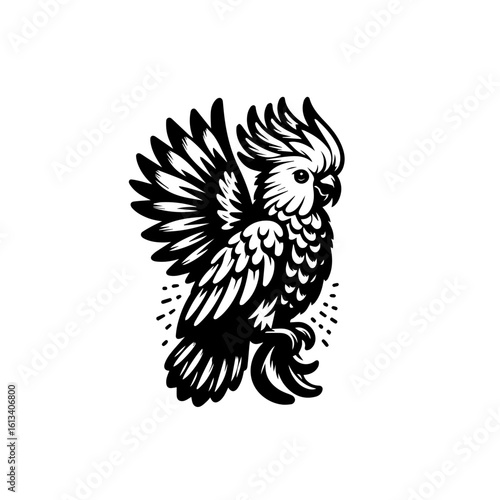 A cockatoo with its crest raised isolated on white background