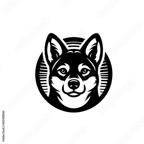 A shiba inu dog portrait, isolated on white background