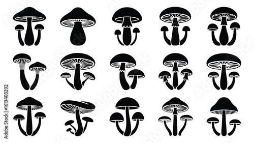 Collection of Mushroom Silhouette Vectors Various Fungi Forms Isolated on White Background Natural Forest Plants for Education and Design Projects