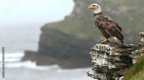 Majestic eagle perched on a craggy cliff overlooking a turbulent sea.  The bird is sharply focused, against a backdrop of misty, stormy waves and cliffs