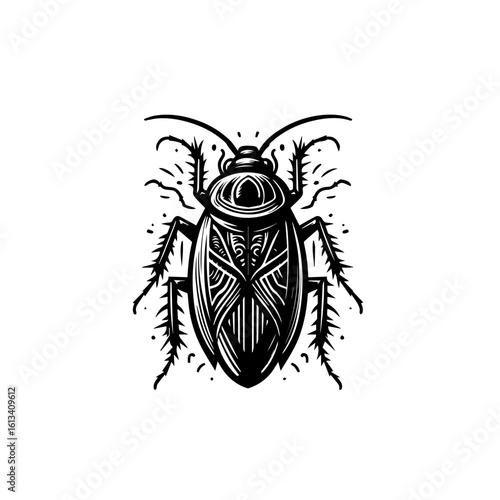 A cockroach is crawling isolated on white background