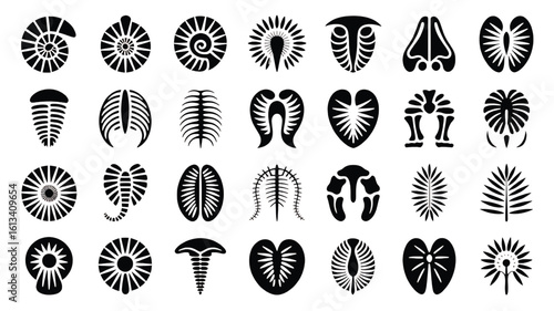 Diverse Collection of Fossil Silhouettes Displaying Ancient Life Forms and Prehistoric Designs for Paleontology Illustrations