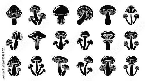 Diverse Mushroom Collection Vector Illustration Black and White Fungi Graphic Resource for Nature and Food Enthusiasts