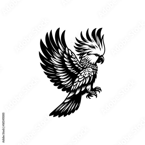 A striking cockatoo with its crest raised, isolated on white background