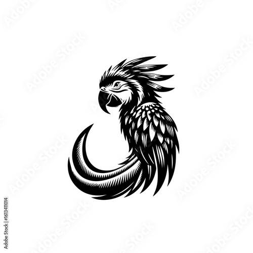 A cockatoo looks to the side, isolated on white background