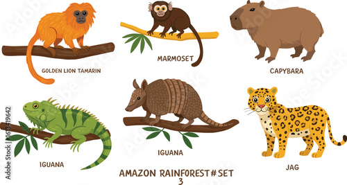 Amazon rainforest animals vector set, golden lion tamarin, capybara, jaguar, iguana, marmoset, armadillo, cartoon wildlife, jungle creatures, tropical forest fauna illustration