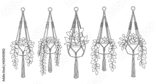 Exploring the intricate details of traditional handcrafted macrame plant hangers showcasing unique designs and techniques