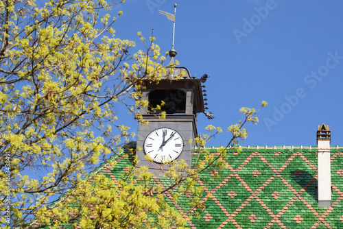 Typical green tiled roof of Colmar