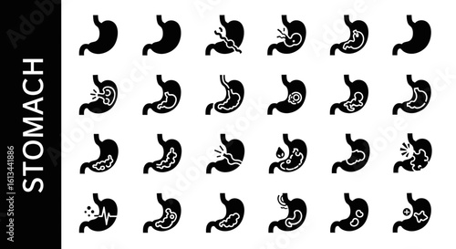 Human Stomach Silhouette Collection: Digestion, Gastric Health, and Anatomy