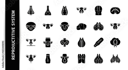 Human Reproductive System Silhouette Collection: Fertility, Biology, and Health