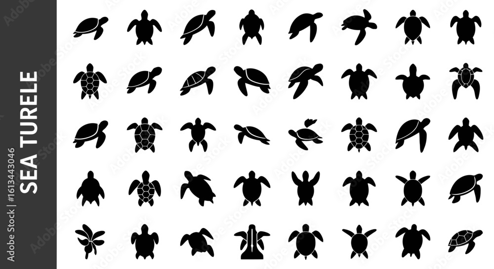 Fototapeta premium Sea turtle -related editable Silhouette.