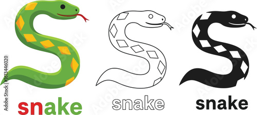 Snake illustration vector graphic design with three snakes in different styles