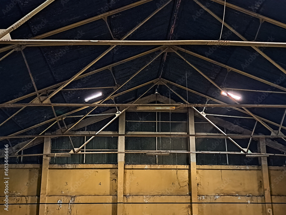 Obraz premium Industrialized roof of an old factory building