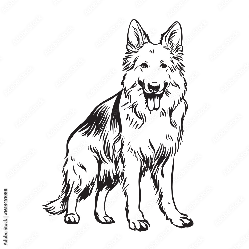 Fototapeta premium A German Shepherd dog sits and looks forward, in a sketch style.