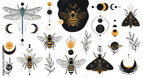 Mystical insects and celestial symbols for occult and spiritual designs