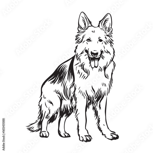  A German Shepherd dog sits and looks forward, in a sketch style.
