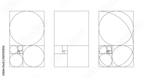 Golden ratio harmony proportions vertical template. Fibonacci numbers set. Fibonacci arrays.