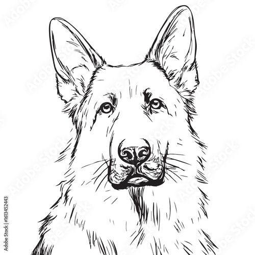 A black and white sketch of a German Shepherd dog's head.