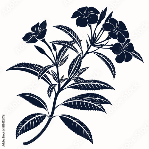 seamless pattern with impatiens new guinea