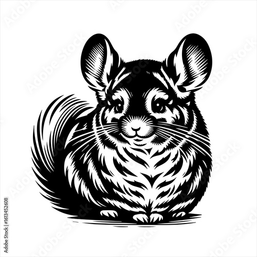 Black and white illustration of a cute chinchilla with large ears