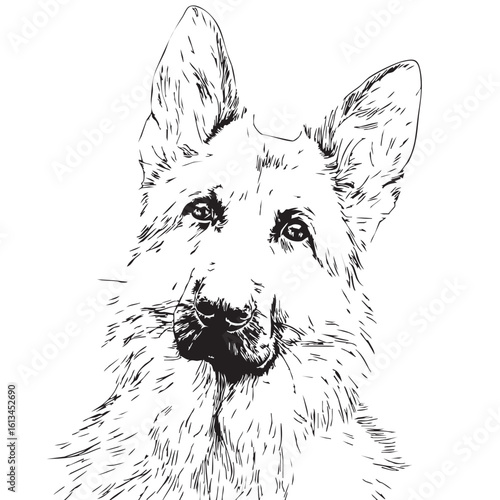 A black and white sketch of a German Shepherd's head.