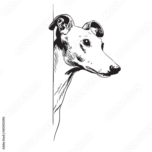  A black and white line drawing of a dog peeking out from behind.