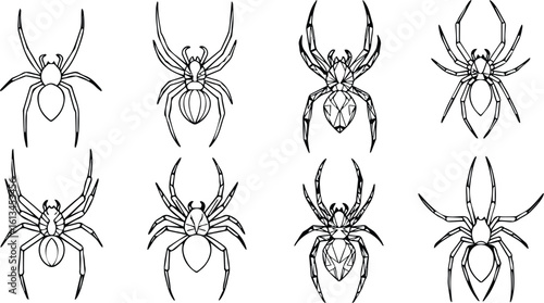 a detailed collection of spider illustrations in various poses, showcasing their intricate anatomy