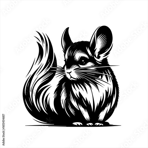 Stylized black and white chinchilla illustration with large ears and bushy tail