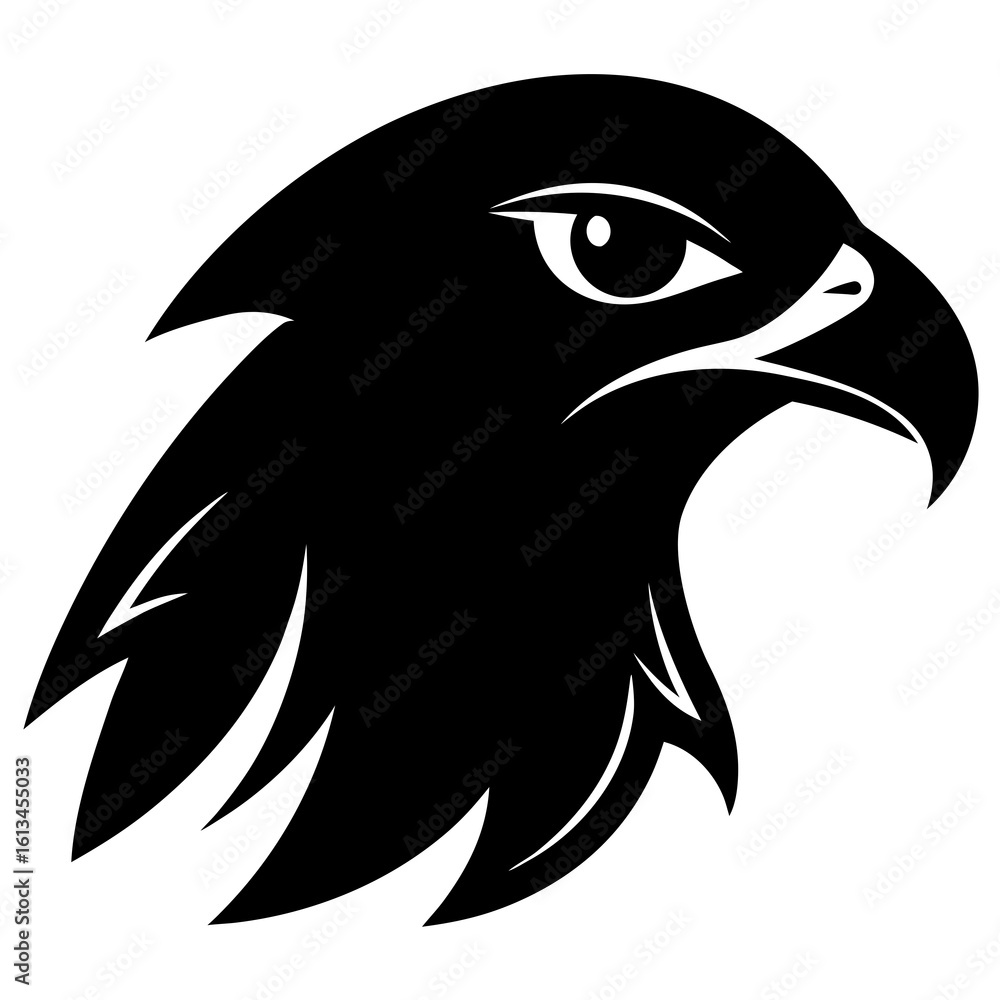 Obraz premium Red-tailed Hawk Head Silhouette