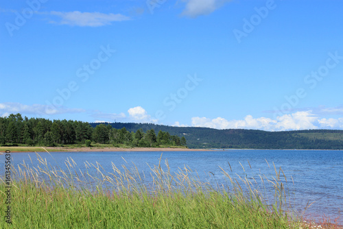 Summer on the Bratskoye Reservoir with grass in the foreground and a wooded shore in the distance