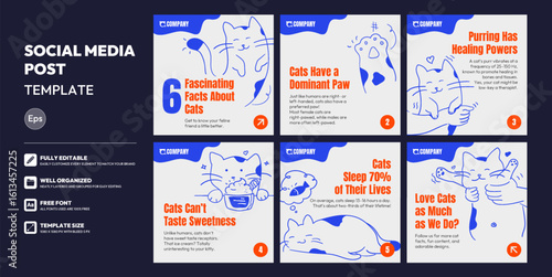 Social media carousel post template. Pet care Instagram and facebook square post template. Instagram tips post collection tutorial, tip, layout template design, modern, cute, illustration