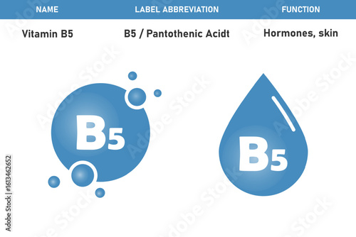 B5 vitamin water drop. B5 vitamin icon in a bubble or drop shape. Vitamin supplement. Medical sphere. Care, health and beauty. Vector