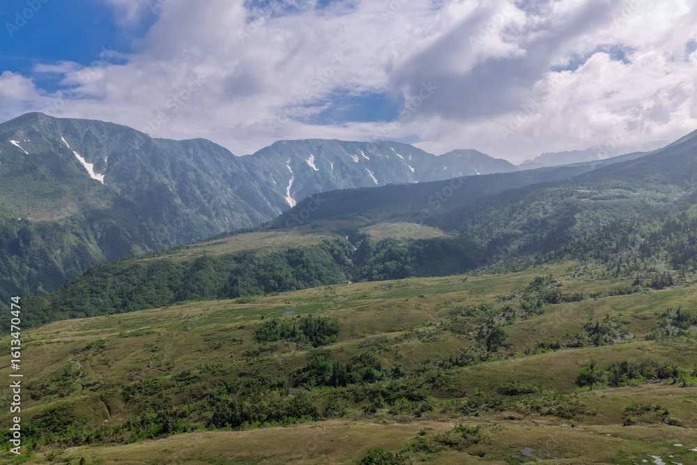 Obraz premium 弥陀ヶ原から望む奥大日岳（ドローンによる空撮）