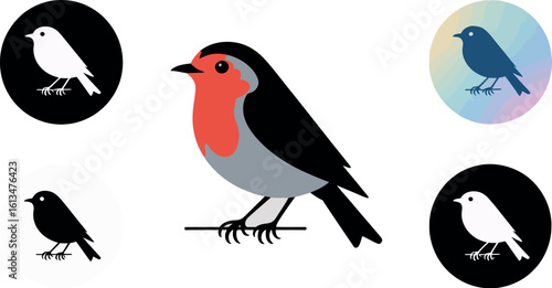 Illustration of a robin bird with various bird icons in circles on a light gray background