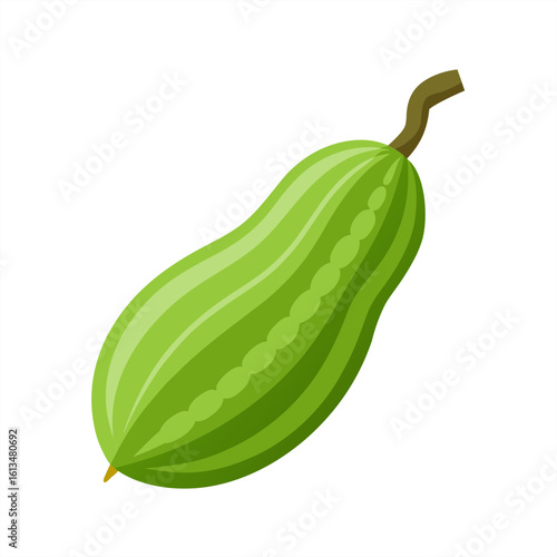 bitter gourd on transparent background
