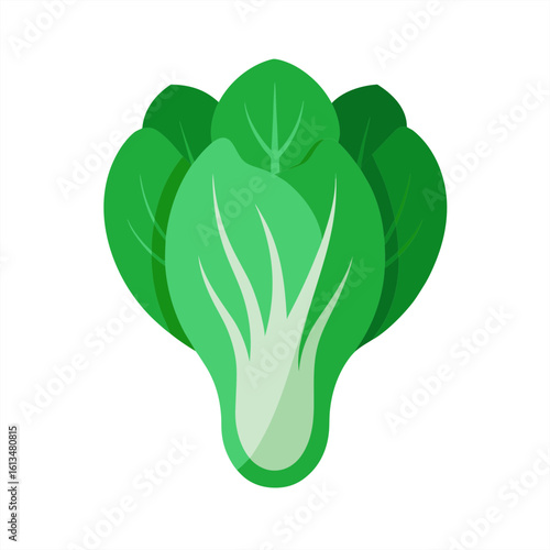 bok choy on transparent background